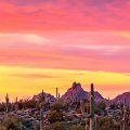Vibrant Arizona desert sunrise in Scottsdale AZ _