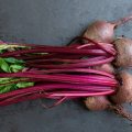 beetroot