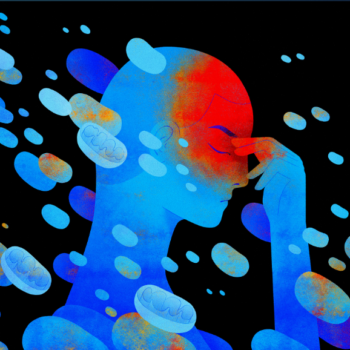 Annotation 2020-08-12 152401