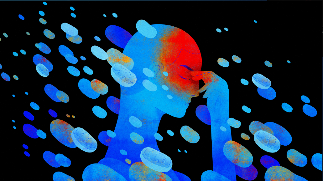 Annotation 2020-08-12 152401